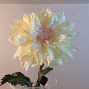 Maxi dalia panna - immagine 3