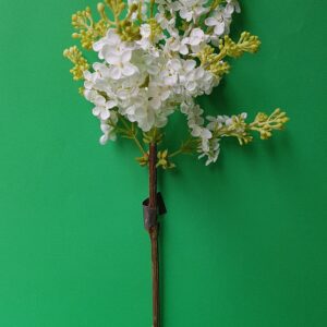 Ramo Lillà bianco